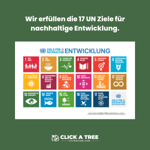 Wir erfüllen die 17 UN Ziele für nachhaltige Entwicklung